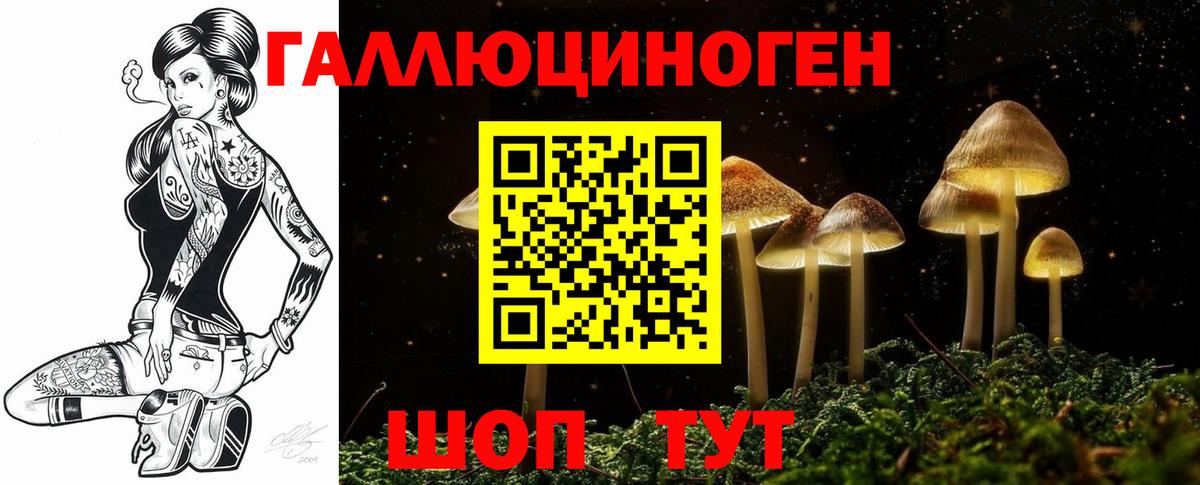 Галлюциногенные грибы Psilocybine cubensis  Псилоцибиновые грибы мухоморы  Вход с VPN  Борисоглебск 